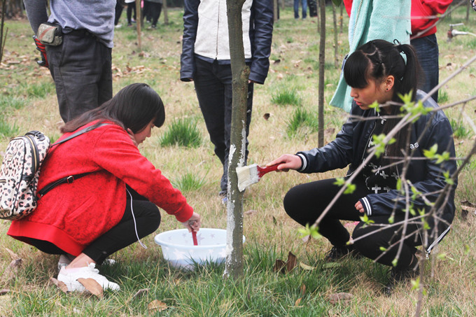 植樹(shù)節(jié):讓愛(ài)與綠色傳遞