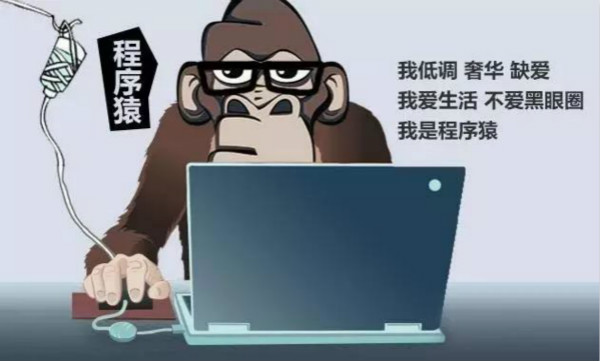 互聯(lián)網(wǎng)大佬大多是程序員出身，你不懂程序“猿”的快樂