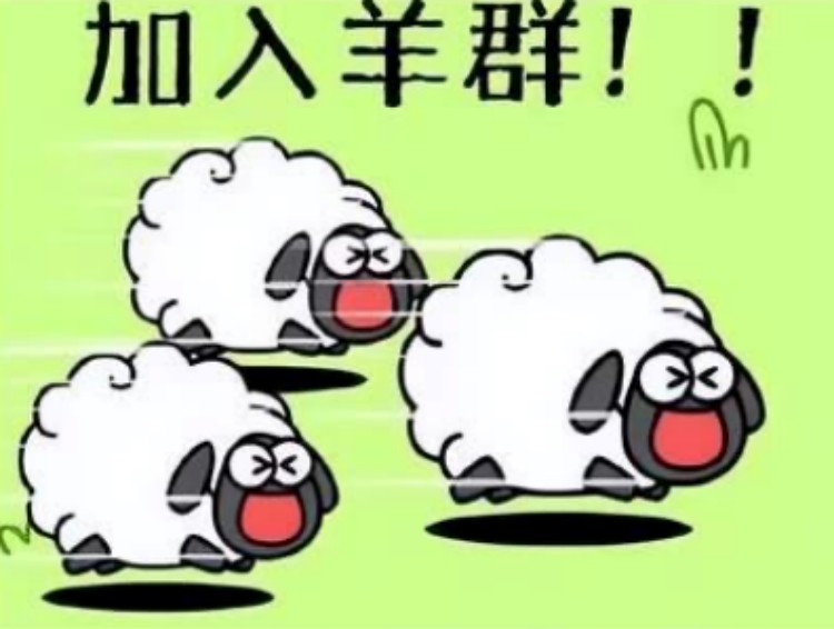 羊了個(gè)羊？成都新華四步帶你無限通關(guān)！